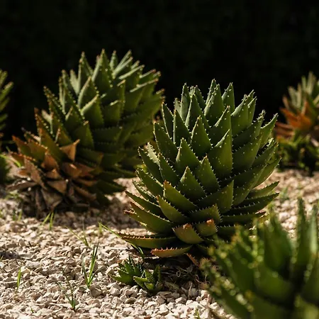 Delta By Marriott Sardinia 4* Olbia