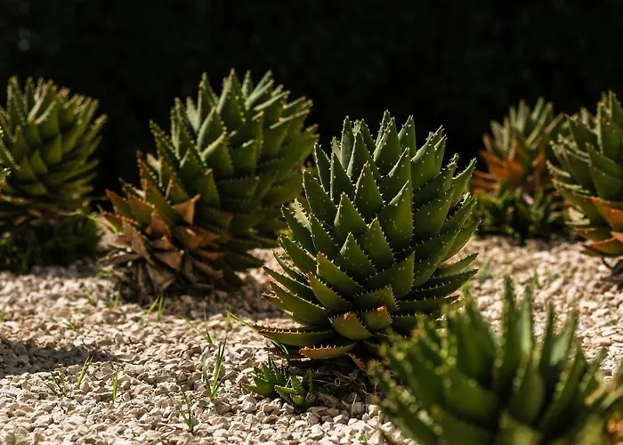 Delta By Marriott Sardinia 4* Olbia